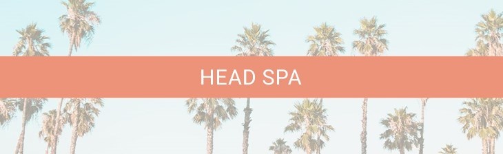 CATEGORY Head Spa