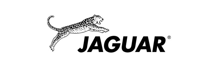 BRAND GENERIC Single Jaguar