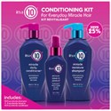 It's a 10 Holiday Conditioning Kit 3 pc.